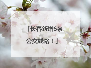 长春新增6条公交线路！