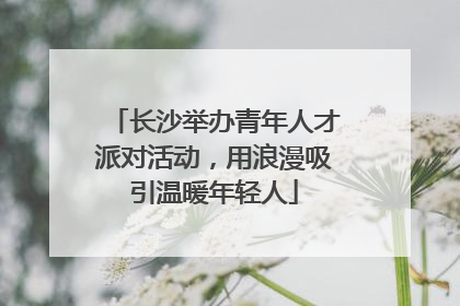 长沙举办青年人才派对活动，用浪漫吸引温暖年轻人
