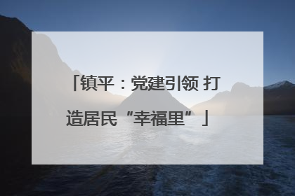 镇平：党建引领 打造居民“幸福里”