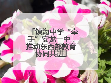 镇海中学“牵手”安龙一中，推动东西部教育协同共进