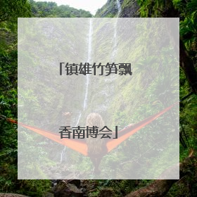 镇雄竹笋飘香南博会