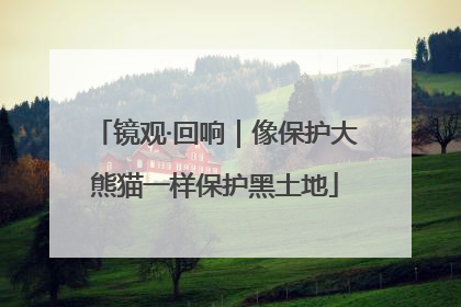 镜观·回响｜像保护大熊猫一样保护黑土地