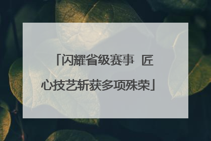 闪耀省级赛事  匠心技艺斩获多项殊荣