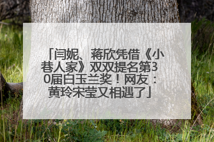 闫妮、蒋欣凭借《小巷人家》双双提名第30届白玉兰奖！网友：黄玲宋莹又相遇了