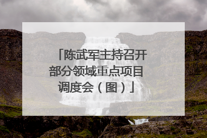 陈武军主持召开部分领域重点项目调度会（图）