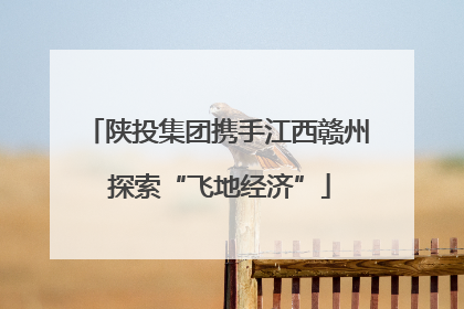 陕投集团携手江西赣州 探索“飞地经济”