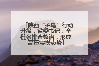 陕西“护鸟”行动升级，省委书记：全链条排查整治，形成高压震慑态势