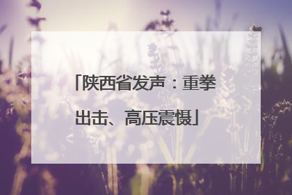 陕西省发声：重拳出击、高压震慑