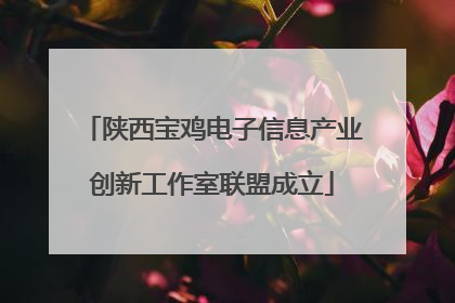 陕西宝鸡电子信息产业创新工作室联盟成立