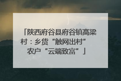 陕西府谷县府谷镇高梁村：乡货“触网出村” 农户“云端致富”