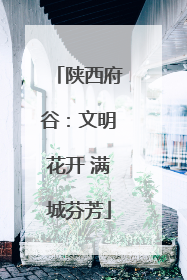 陕西府谷：文明花开 满城芬芳
