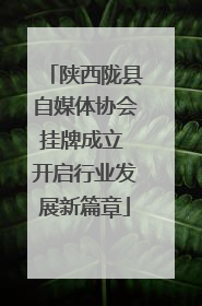 陕西陇县自媒体协会挂牌成立 开启行业发展新篇章