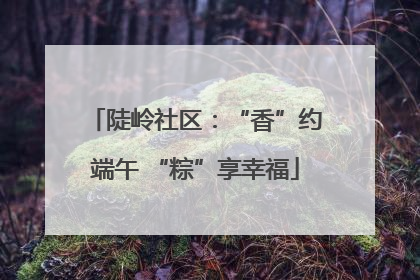 陡岭社区：“香”约端午 “粽”享幸福