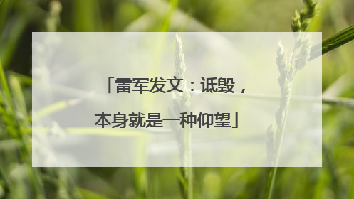 雷军发文：诋毁，本身就是一种仰望