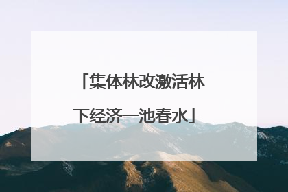 集体林改激活林下经济一池春水