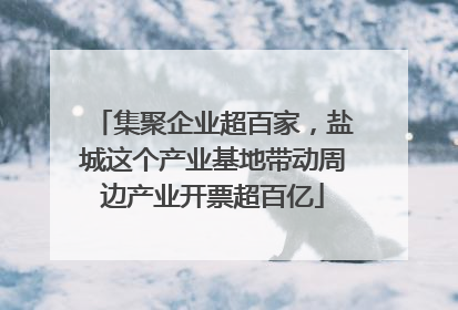 集聚企业超百家，盐城这个产业基地带动周边产业开票超百亿