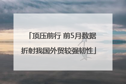 顶压前行 前5月数据折射我国外贸较强韧性