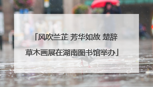 风吹兰芷 芳华如故 楚辞草木画展在湖南图书馆举办