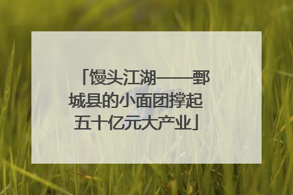 馒头江湖——鄄城县的小面团撑起五十亿元大产业