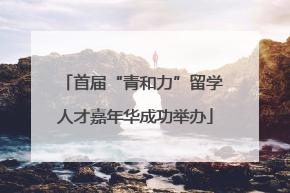 首届“青和力”留学人才嘉年华成功举办