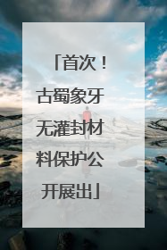 首次！古蜀象牙无灌封材料保护公开展出