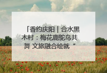 香约庆阳｜合水黑木村：梅花鹿鸵鸟共舞 文旅融合绘就“诗与远方”