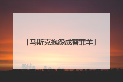 马斯克抱怨成替罪羊