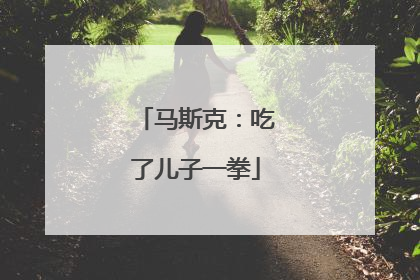 马斯克：吃了儿子一拳