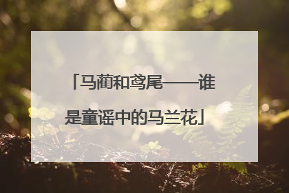 马蔺和鸢尾——谁是童谣中的马兰花