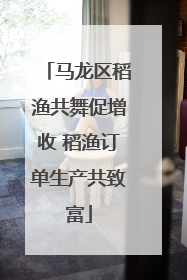 马龙区稻渔共舞促增收 稻渔订单生产共致富