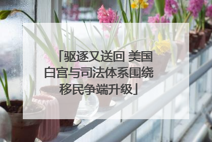 驱逐又送回 美国白宫与司法体系围绕移民争端升级