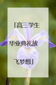 高三学生毕业典礼放飞梦想