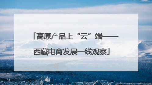 高原产品上“云”端——西藏电商发展一线观察