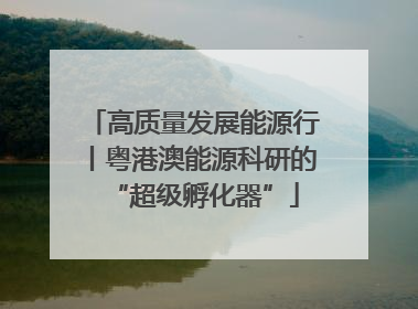 高质量发展能源行丨粤港澳能源科研的“超级孵化器”