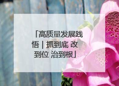 高质量发展践悟｜抓到底 改到位 治到根