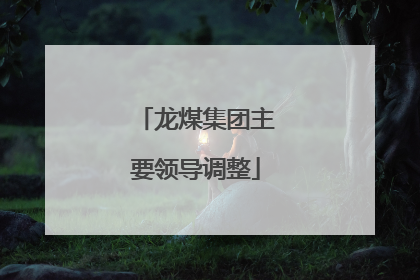 龙煤集团主要领导调整