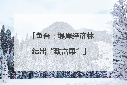鱼台：堤岸经济林结出“致富果”