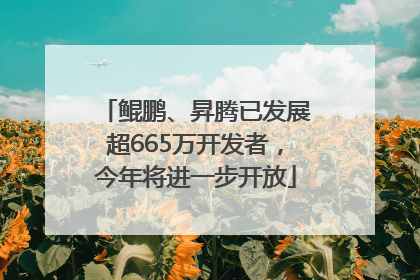 鲲鹏、昇腾已发展超665万开发者，今年将进一步开放