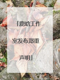 鹿晗工作室发布郑重声明
