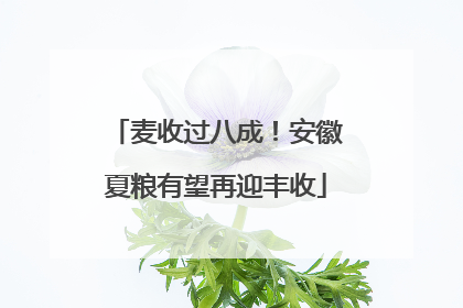 麦收过八成！安徽夏粮有望再迎丰收