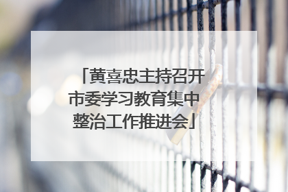 黄喜忠主持召开市委学习教育集中整治工作推进会