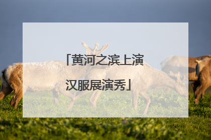 黄河之滨上演汉服展演秀