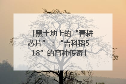 黑土地上的“春耕芯片”：“吉科稻518”的育种传奇