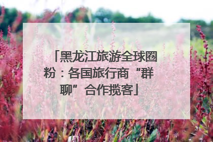 黑龙江旅游全球圈粉：各国旅行商“群聊”合作揽客
