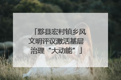 黟县宏村镇乡风文明评议激活基层治理“大动能”