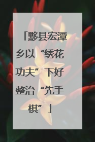 黟县宏潭乡以“绣花功夫”下好整治“先手棋”