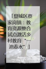 鼎城区蔡家岗镇：教育资源整合试点激活乡村教育“一池春水”