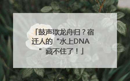 鼓声歇龙舟归？宿迁人的“水上DNA”藏不住了！