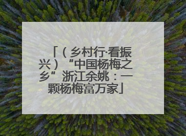 （乡村行·看振兴）“中国杨梅之乡”浙江余姚：一颗杨梅富万家