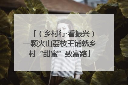 （乡村行·看振兴）一颗火山荔枝王铺就乡村“甜蜜”致富路